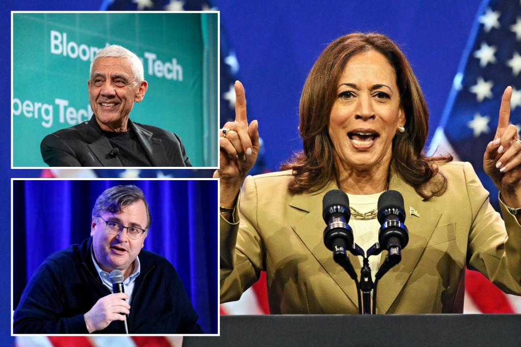 Left-leaning Silicon Valley donors divided over Kamala Harris: 'I want an open process'